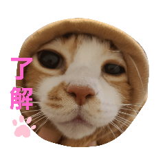 SHIHO_20220115151621