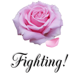 falling rose petal