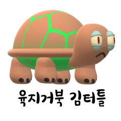 Land turtle Kim Turtle