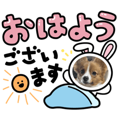 senakun0443_20220115155824