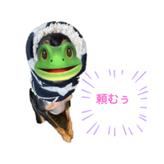risa_20220115164816