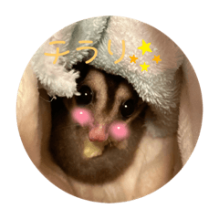 SAoRI_20220115165254