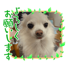 miki_20220115172152