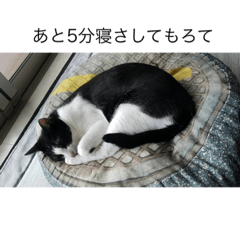 seira_20220115174738