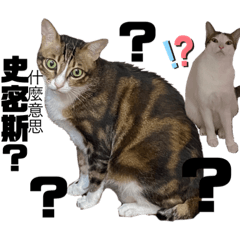 蘇的生活圈動物觀察入微篇