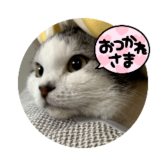 yuka_20220115172810