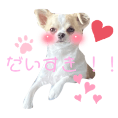 CHIE_20220115192600