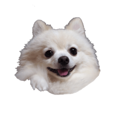 たま家のチロルくん