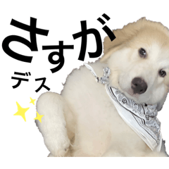 シンプルわんこ達 敬語