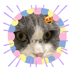 clip on_20220116013054