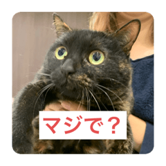 takuya_20220116070427