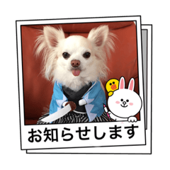 miki_20220116094320