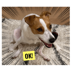 JACK_20220115202715