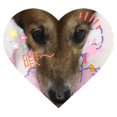 saori_20220115200225