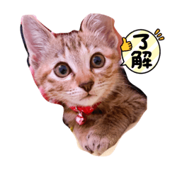 yuka_20220115210129