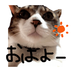 aoi_20220115225719