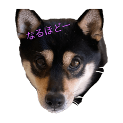 Yuka_20220115233534