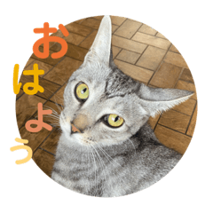 Riho_20220116001512