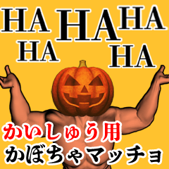 Kaishuu Pumpkin macho