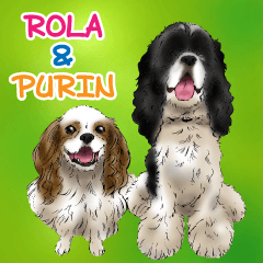 ROLA & PURIN (big size)