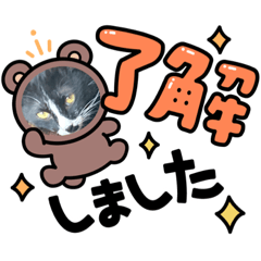 Konatsu_20220116092308