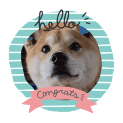 chisa_20220116104555