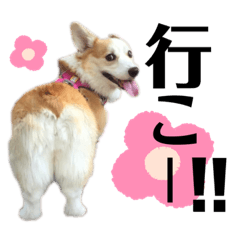 chisa_20220116145326