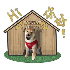 Shiba Vanya in Life (VOL.1)