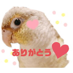 saya_20220115205612