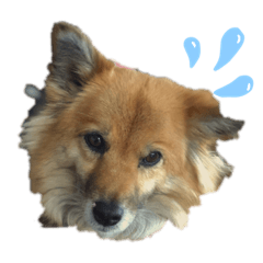 hiyori_20220116160657