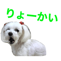 Charmy photo stamp