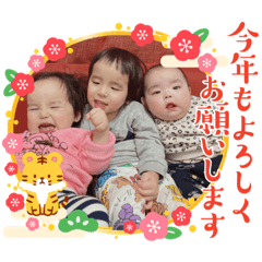 FUJIMOTO3