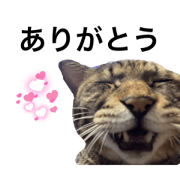 NyanNyanMARU