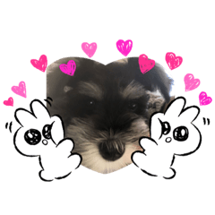 yukari_20220116220900