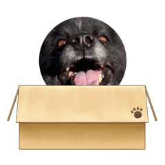 NANAMI_20220116224730