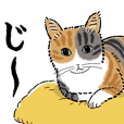 猫の菊ちゃんスタンプ２