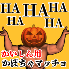 Kaishin Pumpkin macho