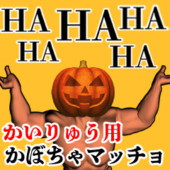 Kairyuu Pumpkin macho