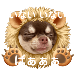 Yuka_20220117131200