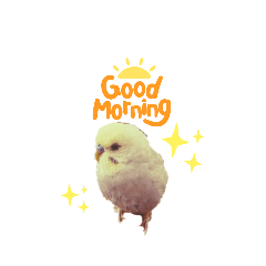 ayumi_20220117122344