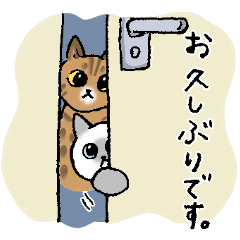 【敬語】猫なのに丁寧 -シャムとキジトラ-