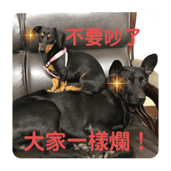 日台犬合作の台湾華語すたんぷ
