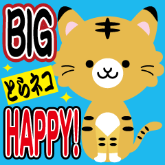 BIG!「とらネコ」HAPPY!