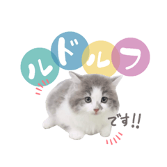 aoi_20220117155651