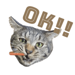 nozomi_20220117170208