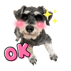 Ayumi_20220117211612