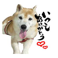 cherry_20220117211716