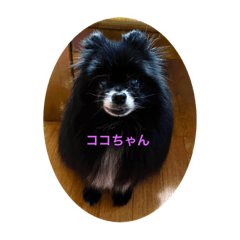 kichi_20220117190521