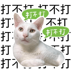 志龍與貓貓們的迷因