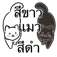 White cat and black cat thai